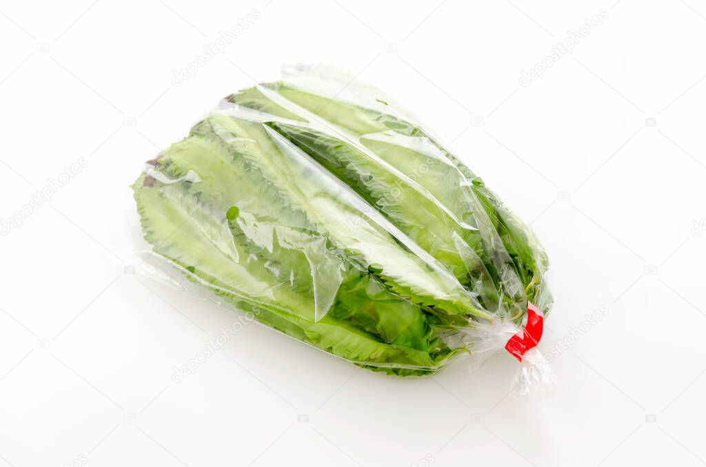Fresh Winged beans  in plastic bag on white background