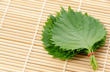 Taze yeşil Shiso (perilla frutescens) veya bambu hasırında Oba yaprağı.