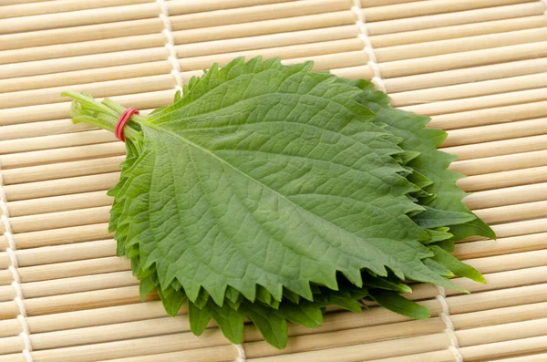 Νωπά Πράσινα Φύλλα Shiso Perilla Frutescens Oba Στρώμα Μπαμπού — Φωτογραφία Αρχείου