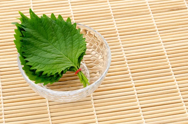 Frischer Grüner Shiso Perilla Frutescens Oder Oba Blatt Einer Kleinen — Stockfoto