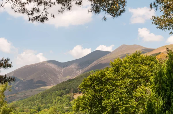 A view of the Skiddaw Mountain Range in the Lake District National Park, Cumbria, England, framed by the trees in spring and all the summits visible.