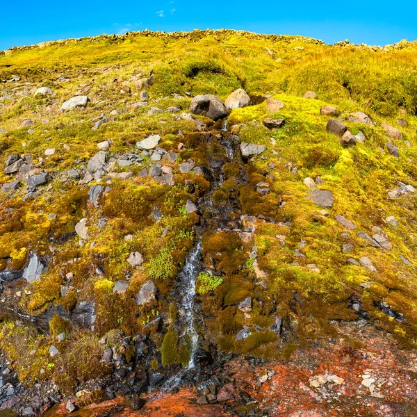Czas Letni Kolorowe Piękne Małe Islandzki Wodospad Islandia — Zdjęcie stockowe