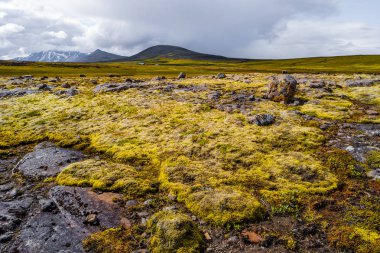 Panoramik manzaralı güzel renkli İzlanda manzara, İzlanda, geç yaz saati