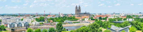 Panoramiczny Widok Łabę Katedry Starego Miasta Magdeburgu Lato — Zdjęcie stockowe