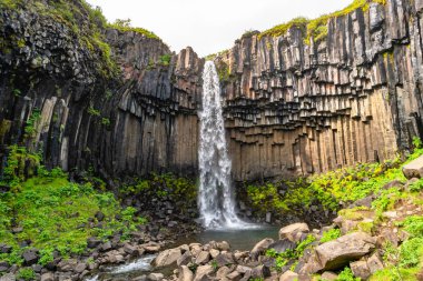 South Iceland, yaz saati üzerinde siyah bazalt sütunlarla harika ve yüksek Svartifoss şelale