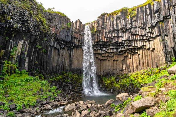 Cachoeira Svartifoss Maravilhosa Alta Com Colunas Basalto Preto Islândia Sul — Fotografia de Stock