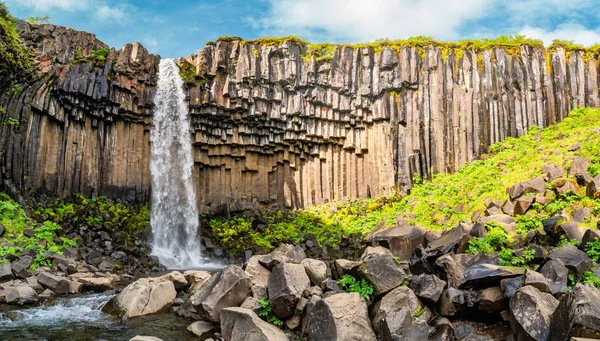 Водоспад Svartifoss Найпрекрасніше Вище Чорним Базальтові Стовпи Півдні Ісландії Літній — стокове фото