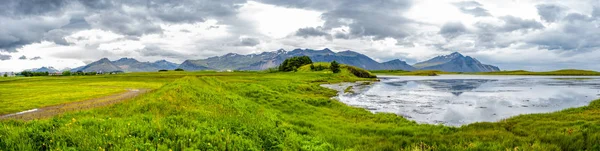 Panoramatický Pohled Krásné Louky Pole Trávy Květin Poblíž Hofn Island — Stock fotografie