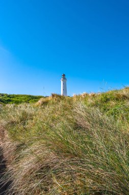 Deniz kıyısı, plaj, deniz feneri Kuzey Sahil, yaz saati
