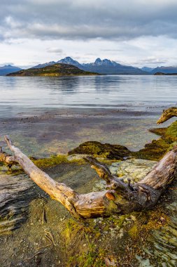 Güzel manzara lenga orman, dağlar ve lagün, Tierra del Fuego Milli Parkı, Patagonia, yaz saati