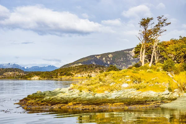 Bela Paisagem Lenga Floresta Montanhas Lagoa Parque Nacional Tierra Del — Fotografia de Stock