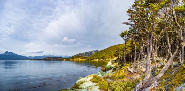 Güzel Manzara Lenga Orman Dağlar Lagün Tierra Del Fuego Milli — Stok fotoğraf