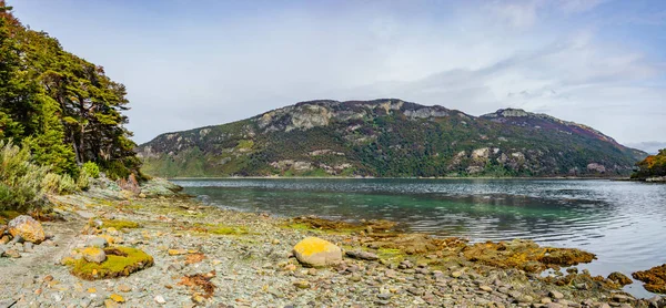 Lenga 山和泻湖在火地岛国家公园 巴塔哥尼亚 夏季时间的美丽景观 — 图库照片