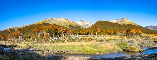 Gyönyörű Táj Lenga Erdő Hegyek Tierra Del Fuego Nemzeti Park — Stock Fotó