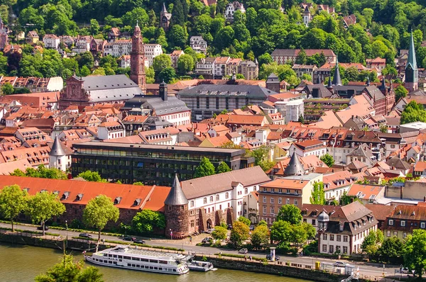 Fågel Gamla Downtown Heidelberg Tyskland Stadsbilden — Stockfoto