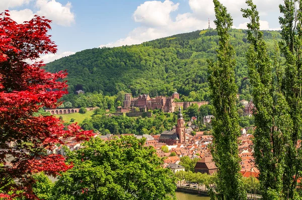 Vogelperspektive Auf Die Altstadt Heidelberg Deutschland Stadtbild — Stockfoto