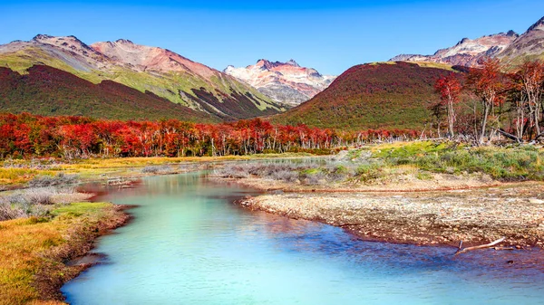 Gyönyörű Táj Lenga Erdő Hegyek Tierra Del Fuego Nemzeti Park — Stock Fotó