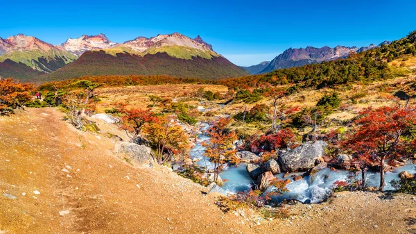 Güzel Manzara Lenga Orman Dağlar Tierra Del Fuego Milli Parkı — Stok fotoğraf