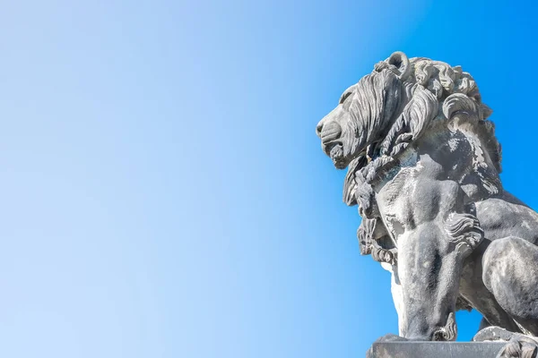 Löwenstatue Domnähe Magdeburg Bei Sanftem Gefälle Hintergrund Deutschland Herbst Nahaufnahme — Stockfoto