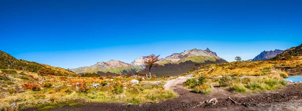 Güzel Manzara Lenga Orman Dağlar Tierra Del Fuego Milli Parkı — Stok fotoğraf