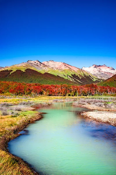 Hermoso Paisaje Bosque Lenga Montañas Parque Nacional Tierra Del Fuego — Foto de Stock