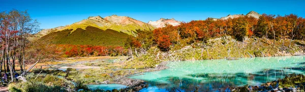 Güzel Manzara Lenga Orman Dağlar Tierra Del Fuego Milli Parkı — Stok fotoğraf