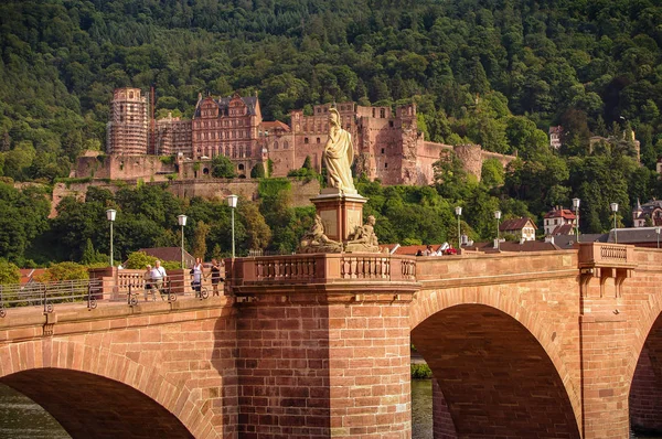 Fågel Gamla Downtown Heidelberg Gamla Bron Och Slottet Solnedgång Tyskland — Stockfoto