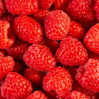 Arka plan, portre, ayrıntılar olarak lezzetli taze kırmızı ahududu