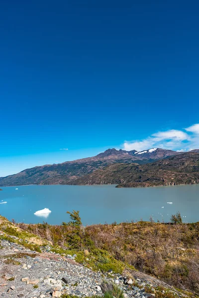 Άποψη Της Torres Del Paine Εθνικό Πάρκο Και Λιμνοθάλασσα Παγόβουνα — Φωτογραφία Αρχείου