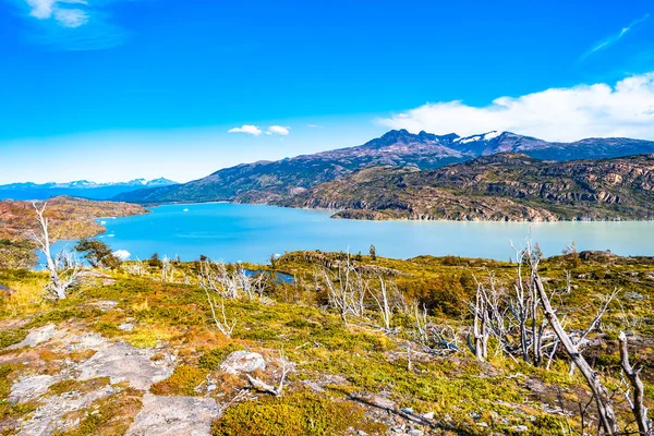 Vista Panoramica Del Parco Nazionale Torres Del Paine Sue Lagune — Foto Stock