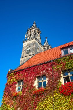 Sonbahar, Almanya, güneşli gün ve mavi gökyüzü görkemli Magdeburg Katedrali