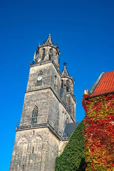 壮大な大聖堂マクデブルク秋 ドイツ 晴れた日と青空 — ストック写真