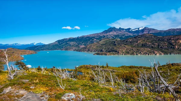 Vista Panorámica Del Parque Nacional Torres Del Paine Sus Bosques —  Fotos de Stock