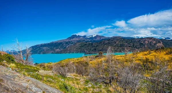 Panoramatický Pohled Torres Del Paine National Park Lesy Laguny Ledovců — Stock fotografie