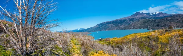 Panoramic View Torres Del Paine National Park Its Forests Lagoon — Stock Photo, Image