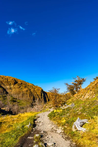 Vista Del Parque Nacional Torres Del Paine Sus Bosques Senderos — Foto de Stock