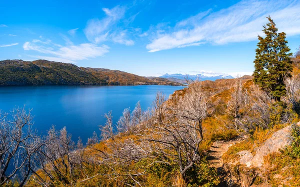 Vue Panoramique Parc National Des Torres Del Paine Ses Forêts — Photo