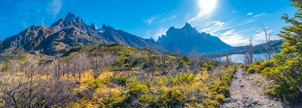 View Torres Del Paine National Park Its Forests Hiking Trail — Stock Photo, Image