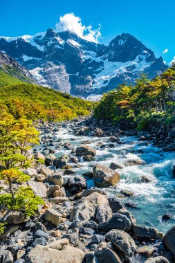 Torres del Paine Millî Parkı, ormanlar, takoz ve sonbahar, Patagonia, Şili buzul nehir görünümü