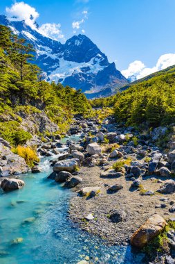 Torres del Paine Millî Parkı, ormanlar, takoz ve sonbahar, Patagonia, Şili buzul nehir görünümü
