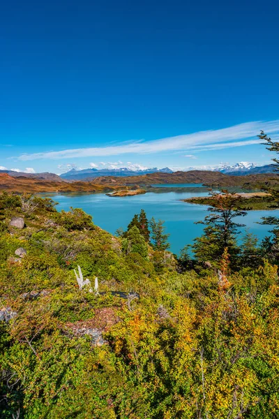 Άποψη Της Torres Del Paine Εθνικό Πάρκο Και Λιμνοθάλασσα Παγόβουνα — Φωτογραφία Αρχείου