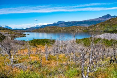 Panoramik Torres del Paine Millî Parkı, ormanlar, lagün ve buzullar sonbahar, Patagonia, Şili