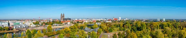 Panoramik Kuş Görünümü Nehir Elbe Eski Yeni Şehir Park Magdeburg — Stok fotoğraf