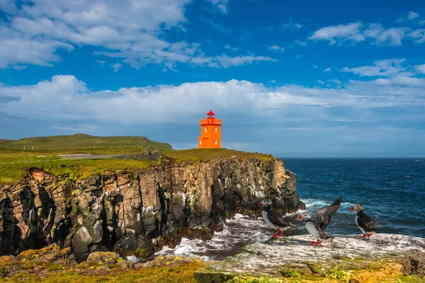North Atlantic Puffins Sitting Front Orange Lighthouse Iceland — Stock Photo, Image