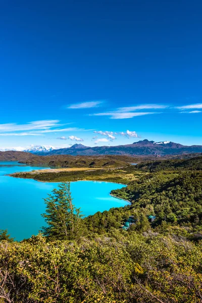 Vista Parque Nacional Torres Del Paine Suas Florestas Lagoa Geleiras — Fotografia de Stock