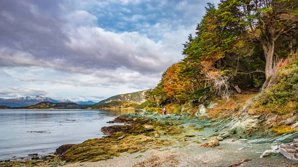 Caminhantes Maravilhosa Paisagem Panorâmica Parque Nacional Tierra Del Fuego Patagônia — Fotografia de Stock