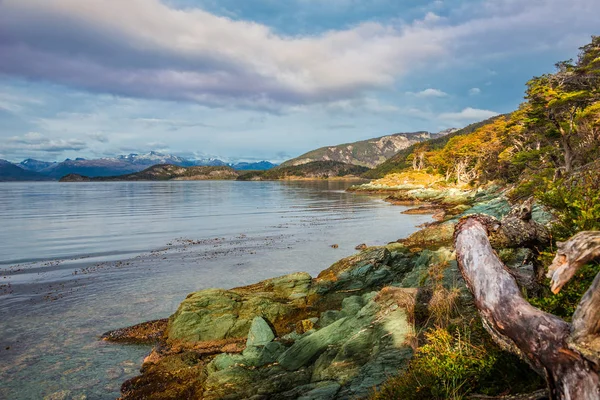 阿根廷巴塔哥尼亚火地岛国家公园的美妙绿松石海岸景观 — 图库照片