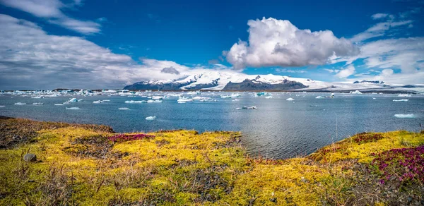 Blick Auf Die Gletscherlagune Mit Eisbergen Und Gelbem Islandmoos Jokulsarlon — Stockfoto