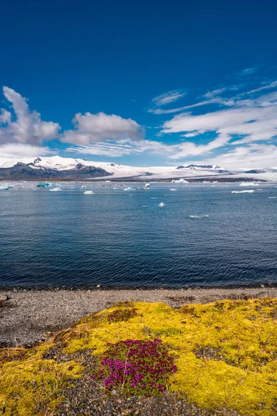 Nézd Gleccser Lagúna Jéghegyek Sárga Izlandi Moha Jokulsarlon Izland — Stock Fotó