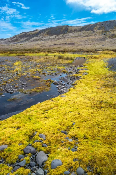 Görünüm buzul göl kıyı ile sarı İzlanda yosun, Jokulsarlon, İzlanda